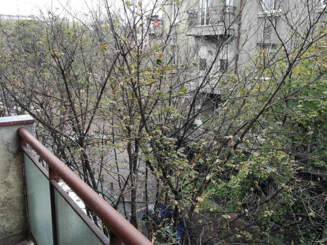 By The Park Free Parking Apartman Belgrád Kültér fotó